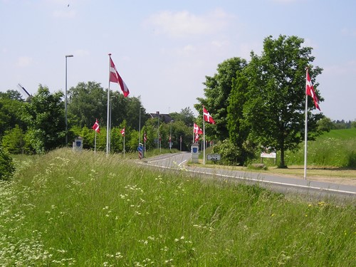 Gl. Rye Flagallé, flag på en sommerdag, set fra Burmlundvej